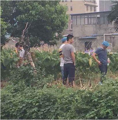 突发！浙江龙泉水槽发生命案，一男子把一女子杀害，现场看着让人揪心