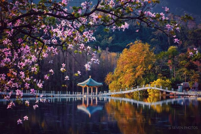 趣旅游@战“疫情” | 来星湖种下春天的希望,收获七彩的花海