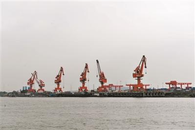 杏坛|杏坛打造临港产业带