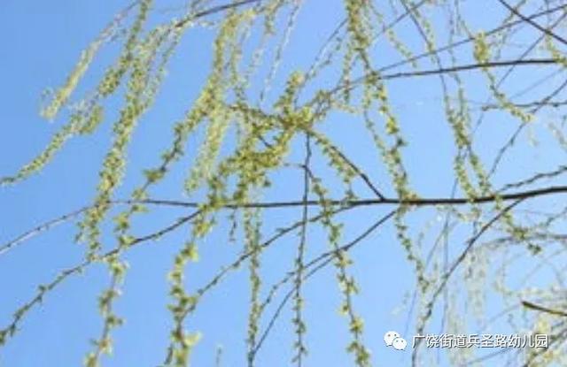 #你的育儿经#【兵幼.云时光】——“五个一”居家防疫亲子活动指南⑩