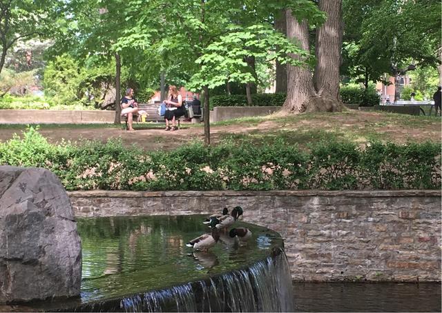 【趣旅游】蒙特利尔westmount公园