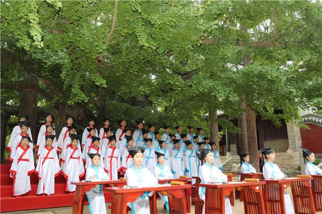 张进刚|山东日照：与古树对话 体验传统文化