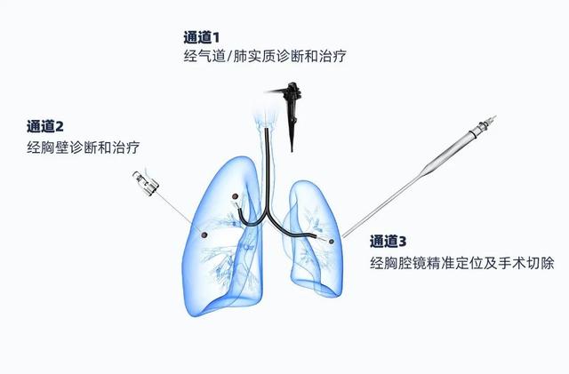 先进技术企业风采：科技创新领域百花齐放