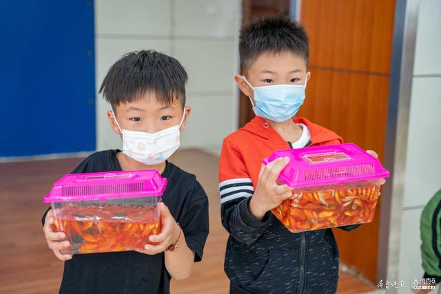 你的育儿经|拍拍操、诗朗诵、捞小鱼……任城区孩子们以这样的方式迎六·一
