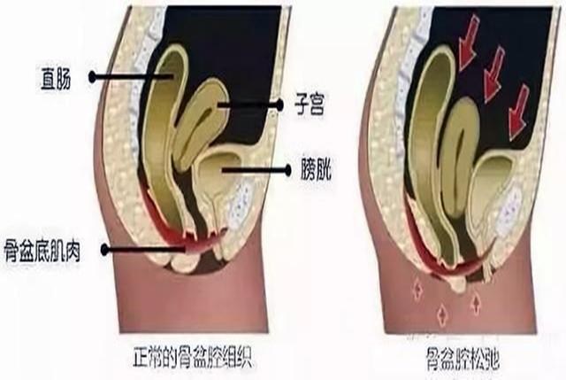 “产后20天，我真的不爱女儿”，知乎热帖揭开2亿女性产后狼狈