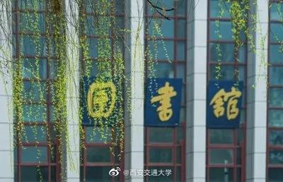 「旅行百事通」实名曝光西安这几个地方的春天，太美了…