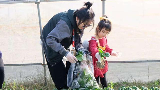 小朋友|同一个地球！喜洋洋幼儿园亲子科技游戏月系列活动来了