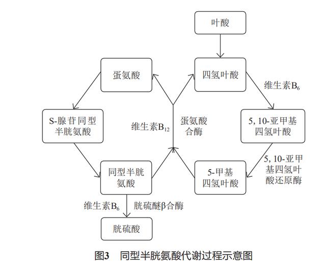 中国脑梗塞多，美国脑梗少，只因这种物质吃少了！医生讲解补叶酸