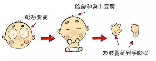 『你的育儿经』中医儿科学辨证论治汇总，熟记它，为自己的孩子把关！