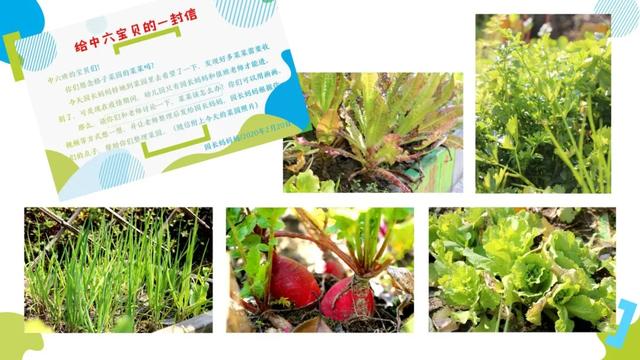 「你的育儿经」幼儿园版“李子柒”上线，竟然是园长？