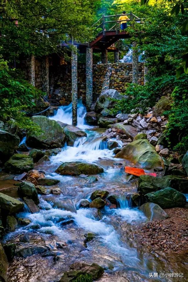 『世界那么大』金寨天堂寨-云雾缭绕、俊峰林立、群瀑飘逸华东最后一片原始森林