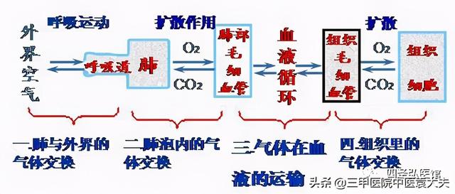 迈入中医之门第79篇：中医视角解读“慢性肺病论治”