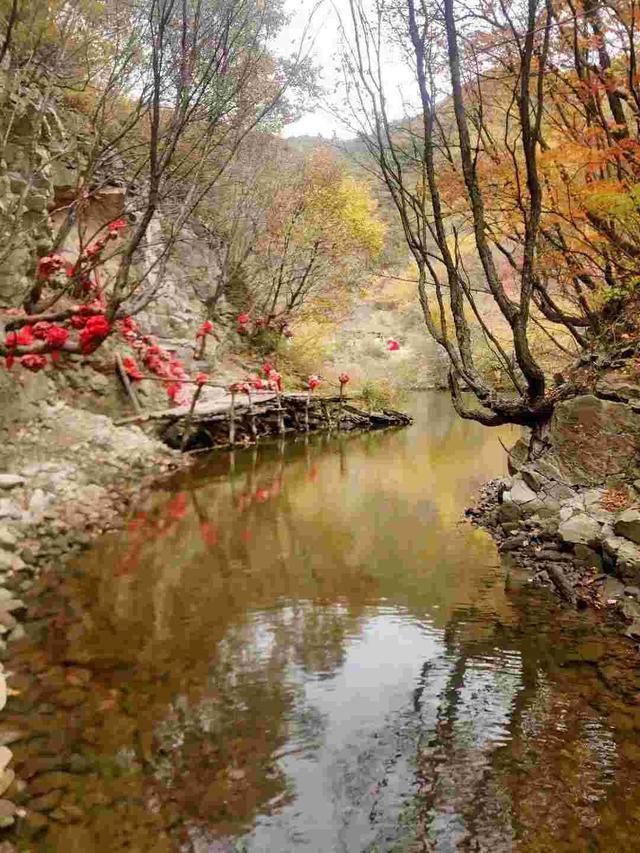 「最美辽阳」暴马川