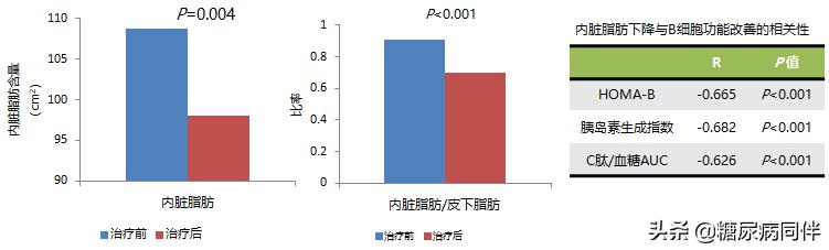 糖尿病人改善胰岛β细胞功能：强化治疗的可能机制解析