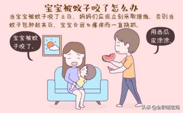 相亲相爱|宝宝总被蚊子叮?防蚊、止痒的正确方法,这样做!