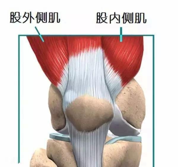 膝关节疼痛、经常打软腿？一种自测方法找原因，四个动作练起来