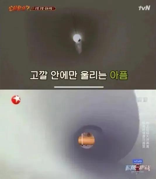 对不起,雷佳音,你和邓伦救不了《极限挑战》|9号放映厅