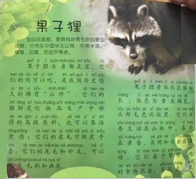 你的育儿经@理性一点，如何教育孩子正确认识小动物