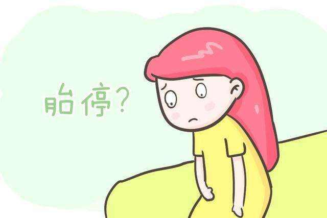 极光家园|孕期，这个阶段是“胎停”高发期，为了胎儿健康，孕妈别大意