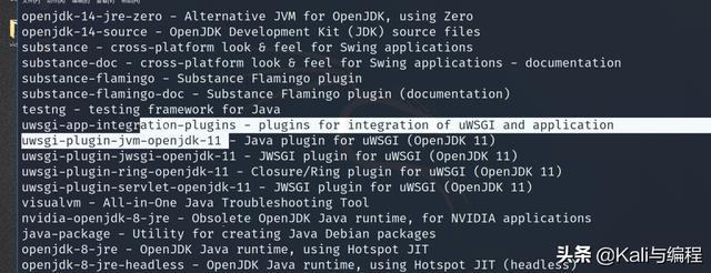 白帽子黑客教你：Kali和Windows软件管理的异同「二」