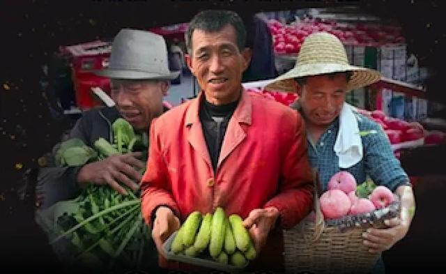 经济之声▲互联网抗“疫”进行时：滞销果蔬的“逆袭”之旅