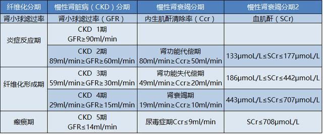 判断肾病轻重，别再被肌酐“支配”！有一项重要指标很多人漏了