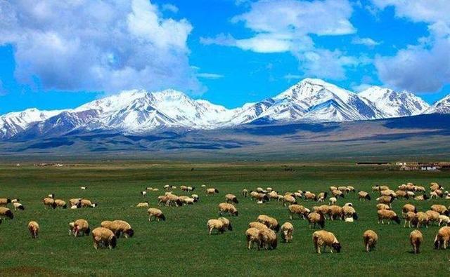 【逆旅行人】新疆真是个“独特”的地方，光是看当地的特产和美食，人家就赢了