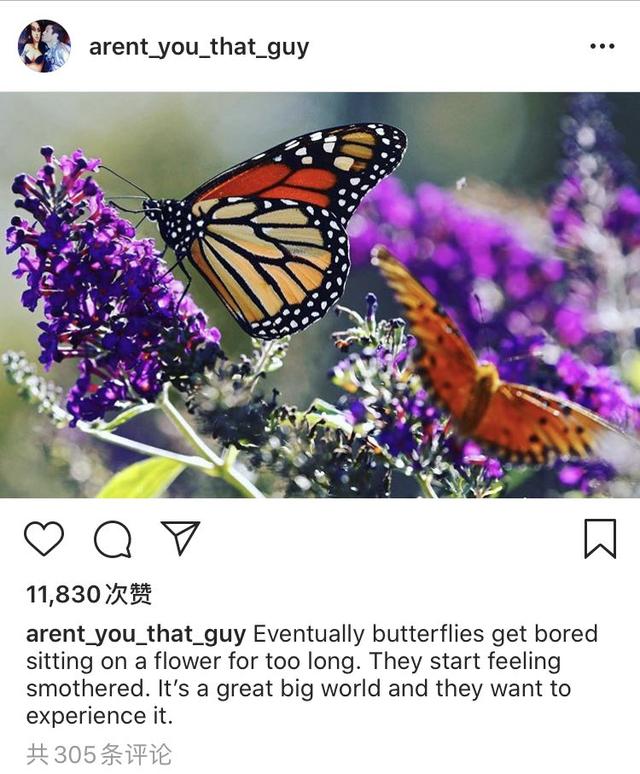 “全世界最性感的女人”放弃婚姻？梅根·福克斯约会90后说唱歌手文汇网