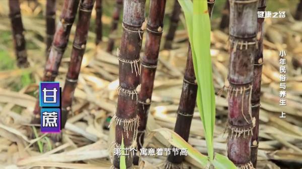 小年|小年南北习俗大全，这样过才有年味儿