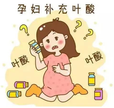 你的育儿经|叶酸知一二，孕期补充叶酸的那些事（三）