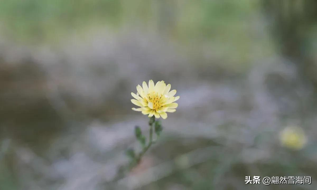 10首讲述人生的古诗词，写尽人间百态，每一首都是经典
