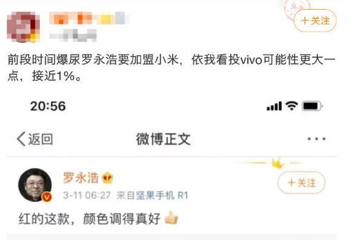 太平洋电脑网▲罗永浩要加入vivo？本人回应：不要从裤裆缝里看人