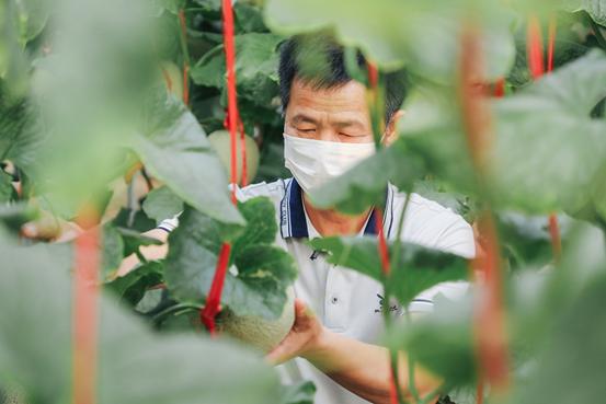 光明网■乡下菜好卖、城里菜好吃，阿里发布抗疫“爱心助农”计划