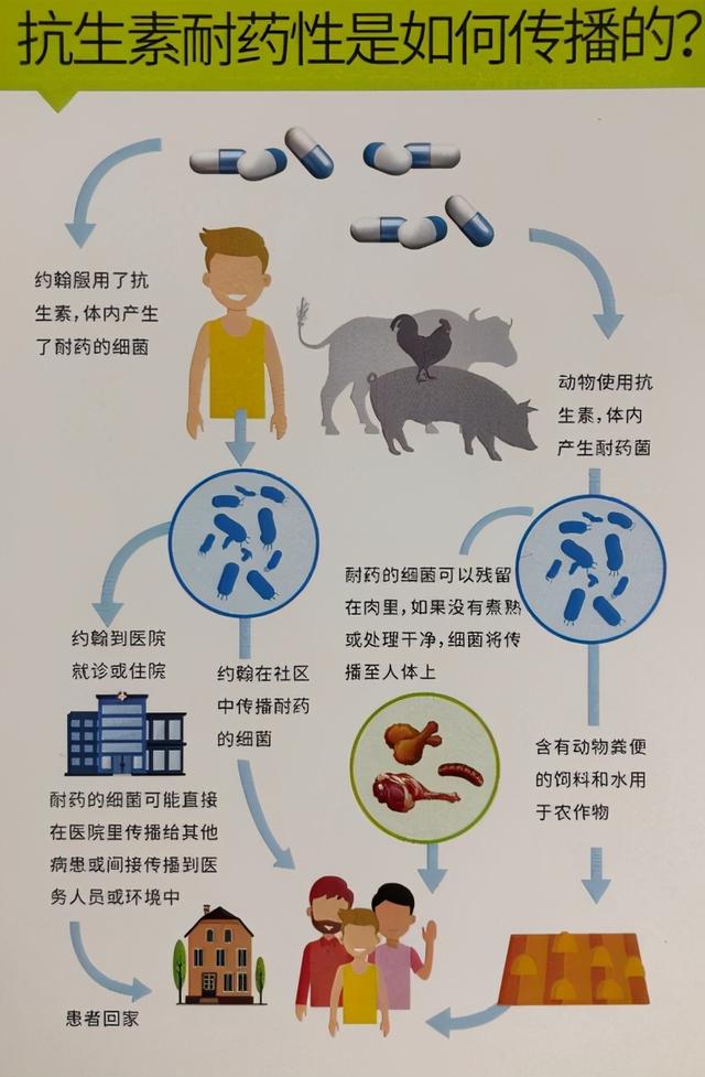 抗生素|研发需要14-20年而细菌耐药速度远快于此 专家呼吁精准用药延缓抗生素耐药
