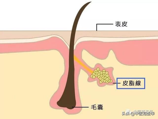 麦粒肿不开刀丨食疗加热敷就这样好了