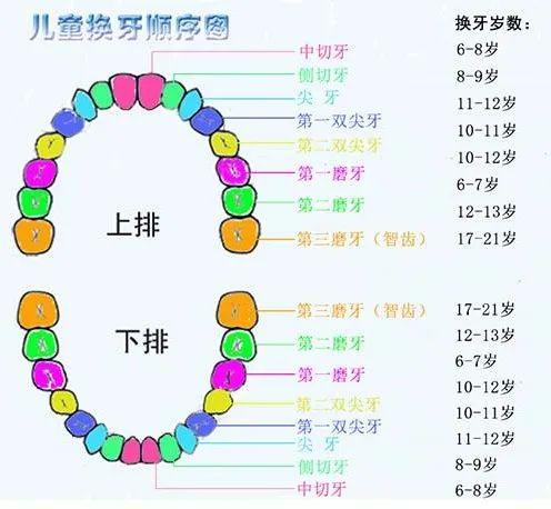 你的育儿经▲孩子换牙可不是小事，这些问题必须注意