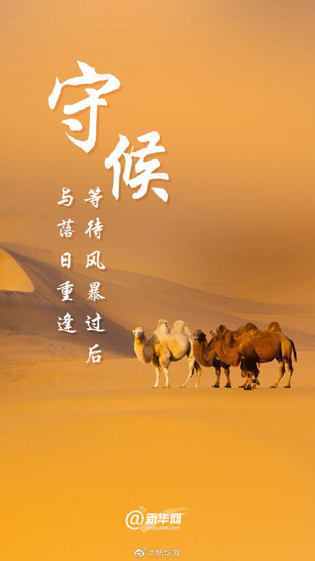 关爱环境 刻不容缓|光明网