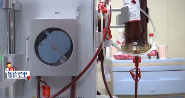 冯燕|致命毒菌，一家三口吃了全倒下！69岁奶奶抢救无效去世