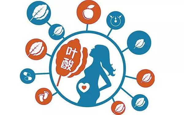 超级宝妈|叶酸知一二，孕期补充叶酸的那些事（二）