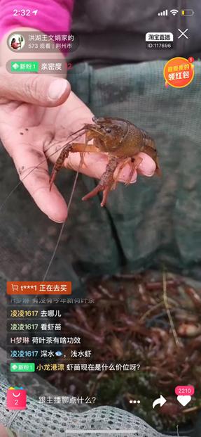 新华网客户端■湖北联手阿里巴巴：10亿小龙虾借盒马出鄂，100场农货销售上淘宝