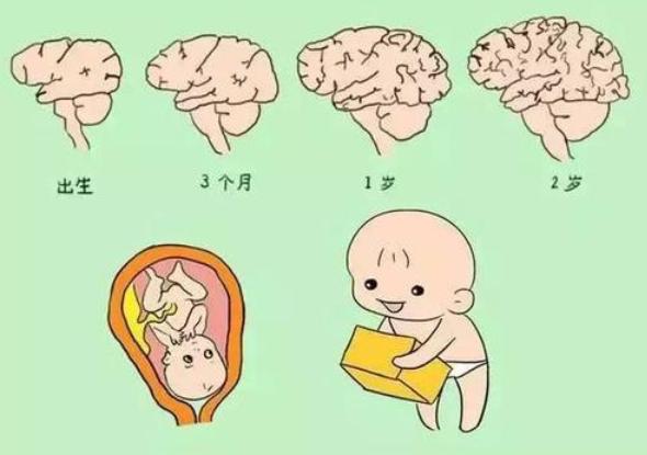 超级宝妈@哈佛大学研究发现：孩子大脑发育关键期一生只有3次，家长别错过