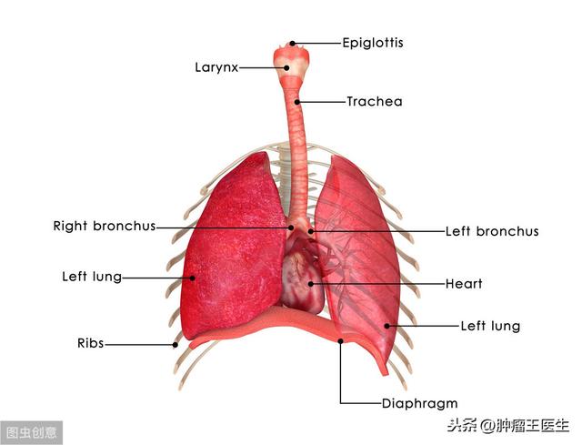 对于食管癌，做好预防，比治疗更重要！