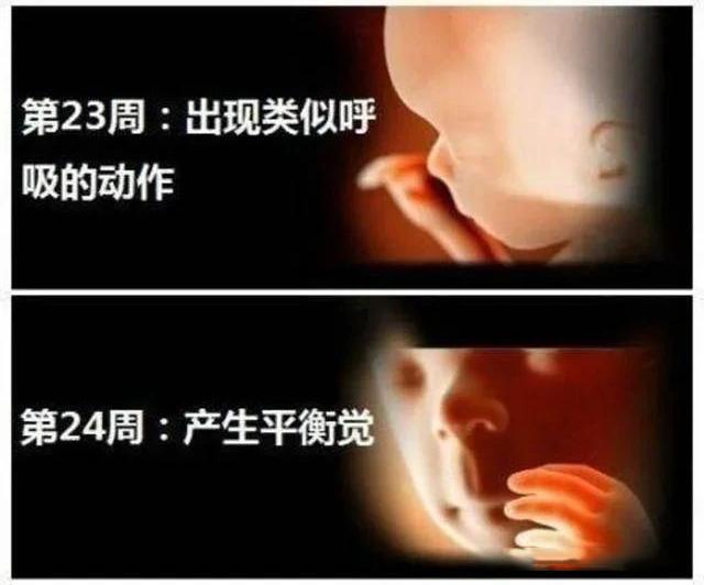 [你的育儿经]怀孕6个月的胎宝宝是什么状态？孕妈有这些变化，正确应对是关键