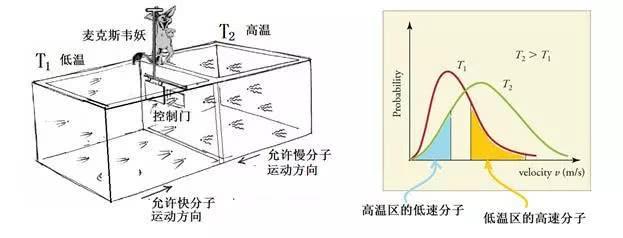 热力学|人类进入信息时代70年，3分钟带你搞懂背后的大BOSS——香农定律