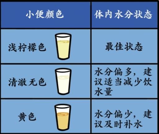 喝水|喝水这件小事，你真的做对了吗？