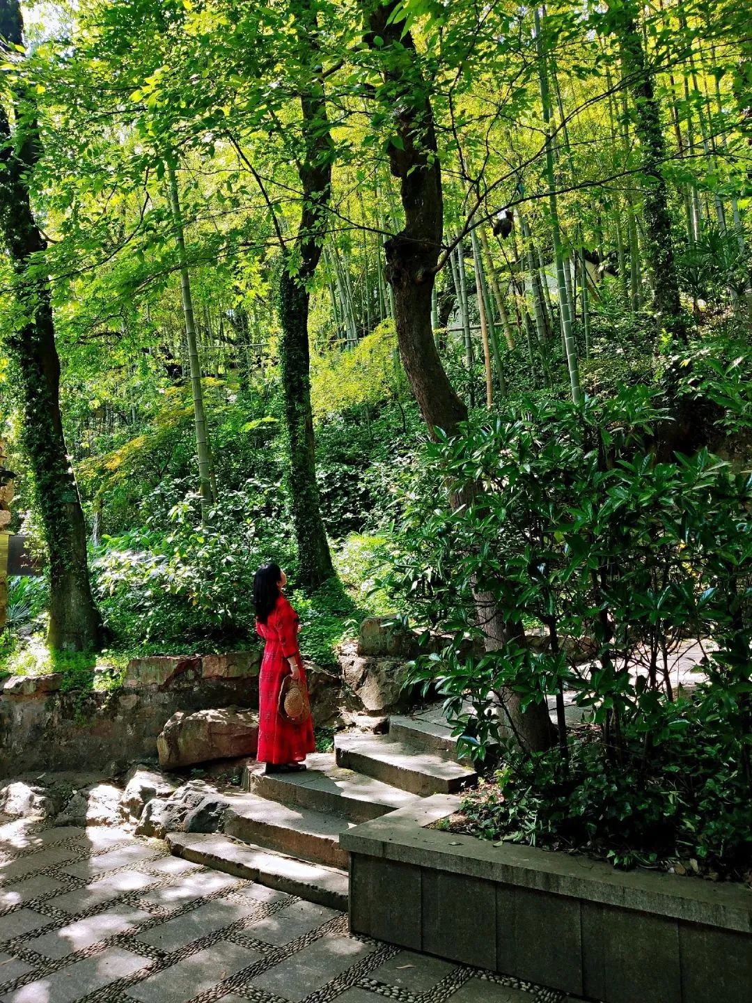 To See Good Scenery, Don't Fear Winding Paths