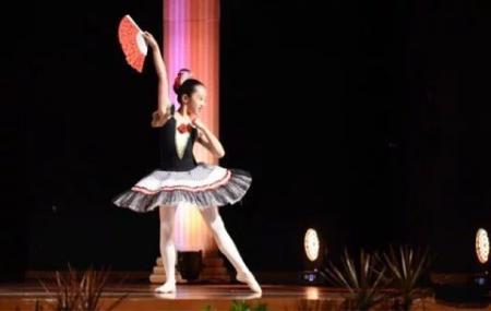 无敌小萌神|有种“富养”叫吴尊女儿NeiNei，10岁气质出众，大长腿实力吸睛