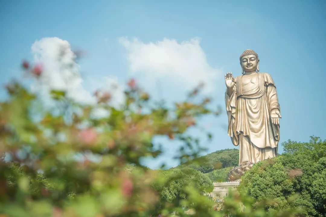 「麻辣杂谈」无锡首批8家景区室外区域明天起将有序开放
