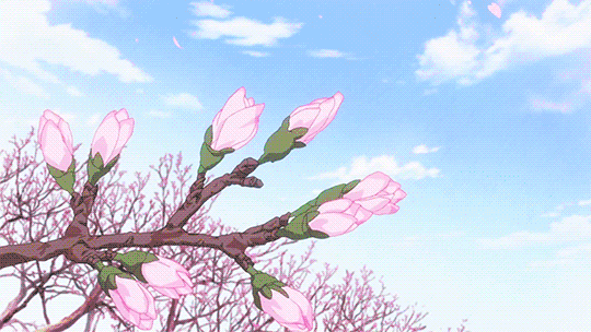 【趣旅游】春意闹花枝俏~一起到莱阳约会春天吧