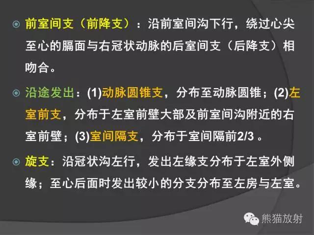 冠状动脉系统解剖、CTA解剖、分段及中英文名称对照